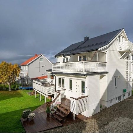 Tromso'S Best Location? City & Nature 5 Mins Away. Eksteriør billede
