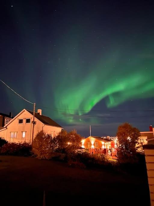 Tromso'S Best Location? City & Nature 5 Mins Away. Eksteriør billede
